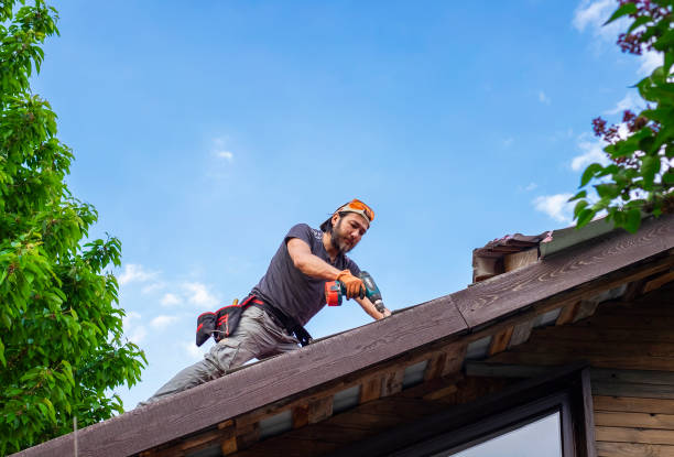 Best Sheet Metal Roofing  in Hallettsville, TX